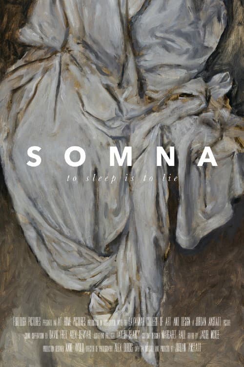 Poster for Somna
