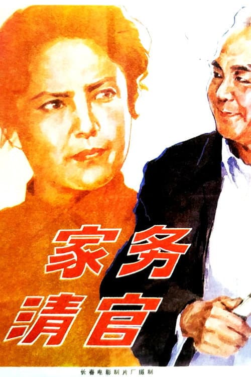 Poster for 家务清官