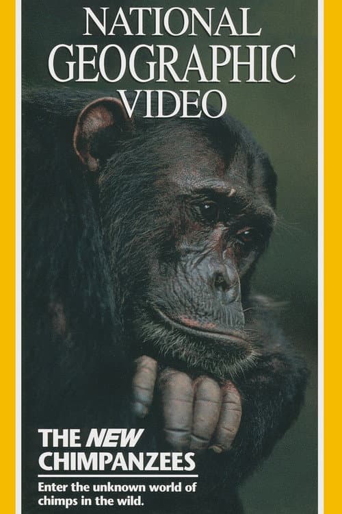 Poster for The New Chimpanzees