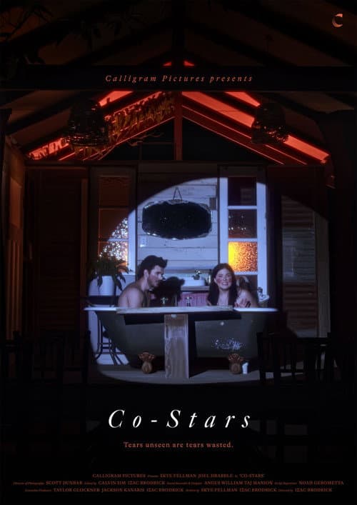 Poster for Co-Stars