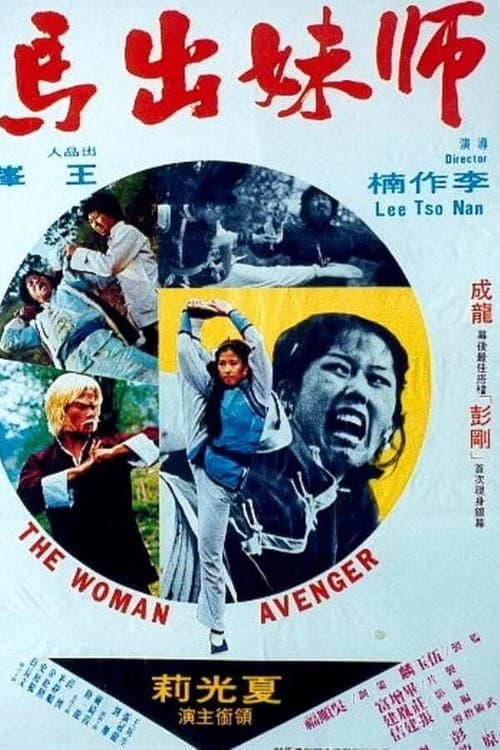 Poster for Woman Avenger