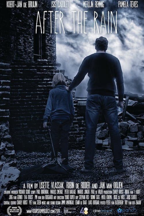 Poster for After the Rain