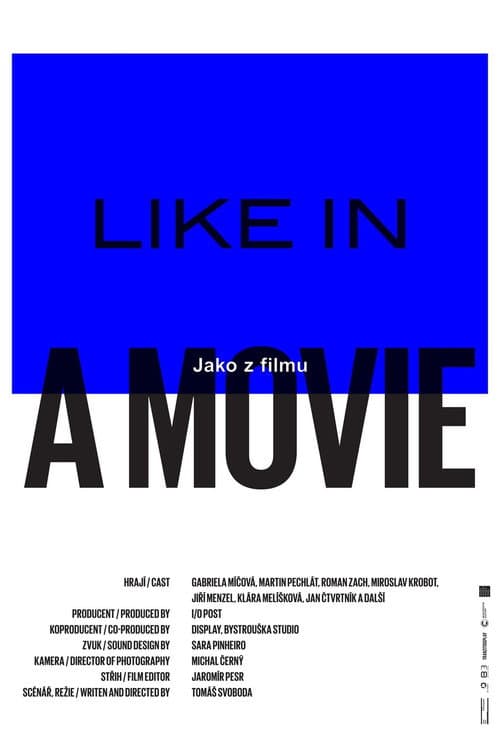 Poster for Like in a Movie