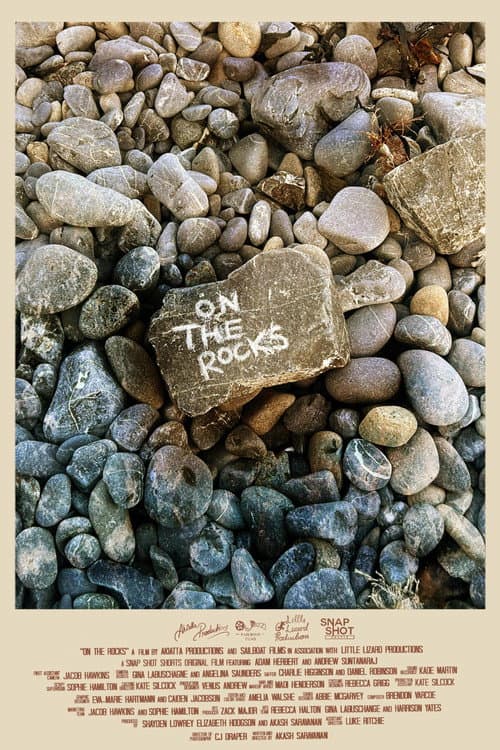 Poster for On the Rocks
