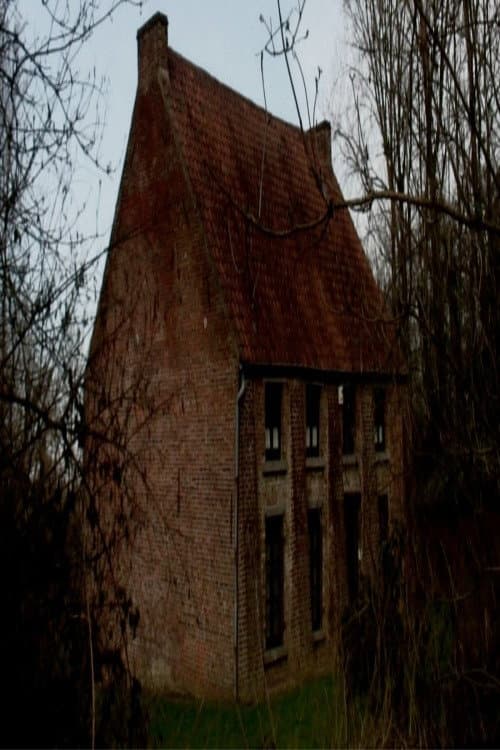 Poster for From Vincent’s House in the Borinage