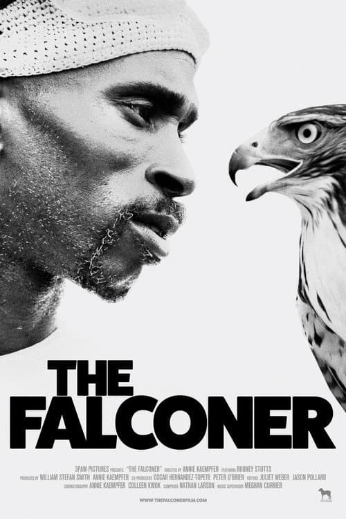 Poster for The Falconer