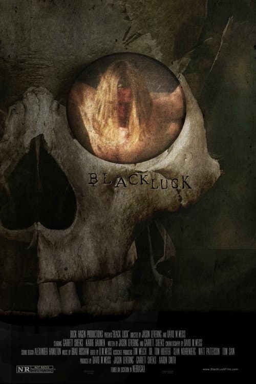 Poster for Black Luck