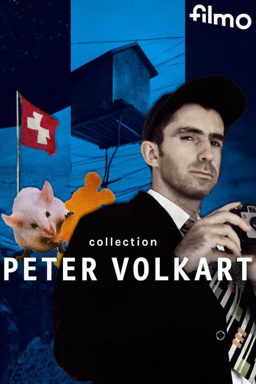 Poster for Collection Peter Volkart