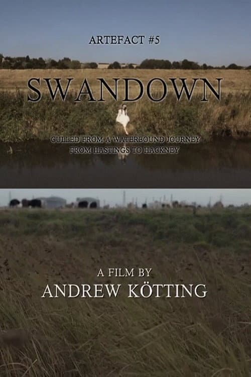 Постер до фільму «Artefact #5: Swandown – Culled from a Waterbound Journey from Hastings to Hackney»