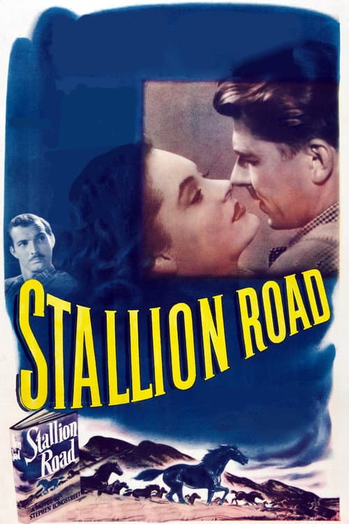 Poster for Stallion Road
