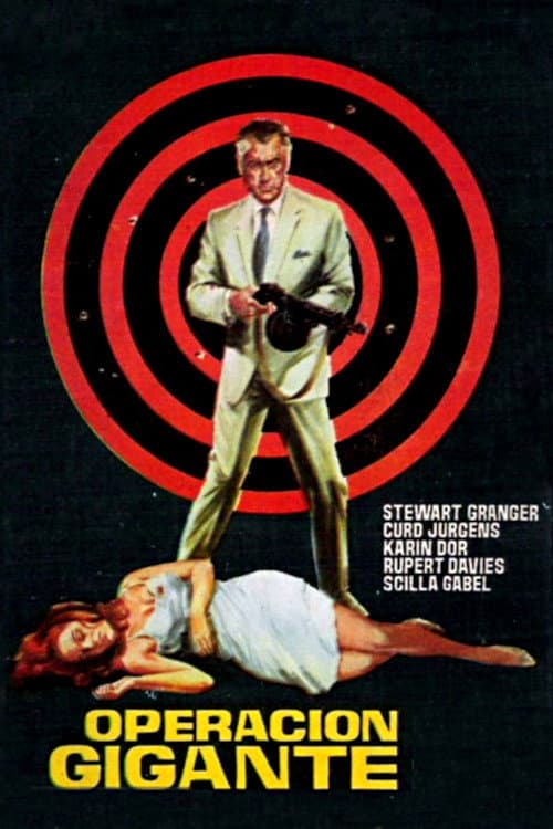 Poster for Target for Killing
