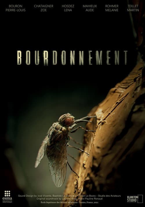 Poster for Bourdonnement