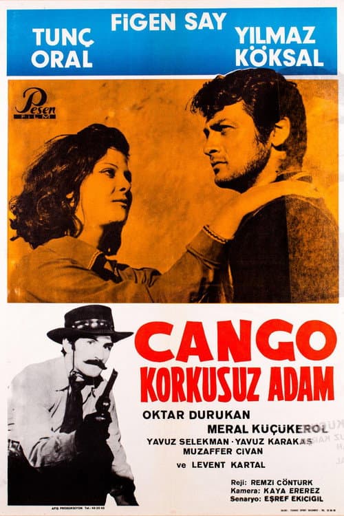 Poster for Django - Fearless Man