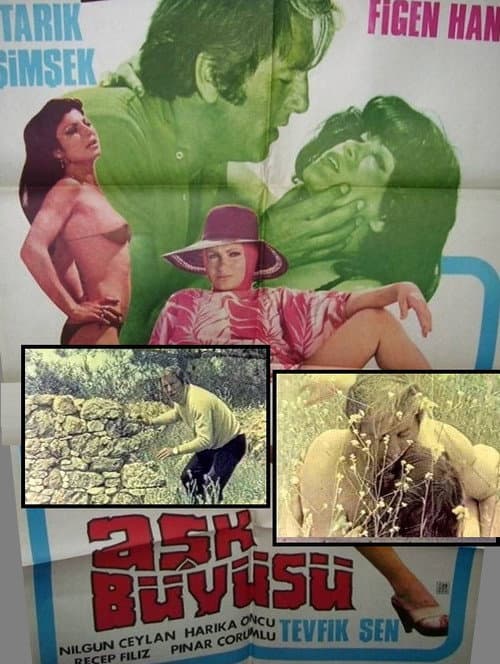 Poster for Aşk Büyüsü