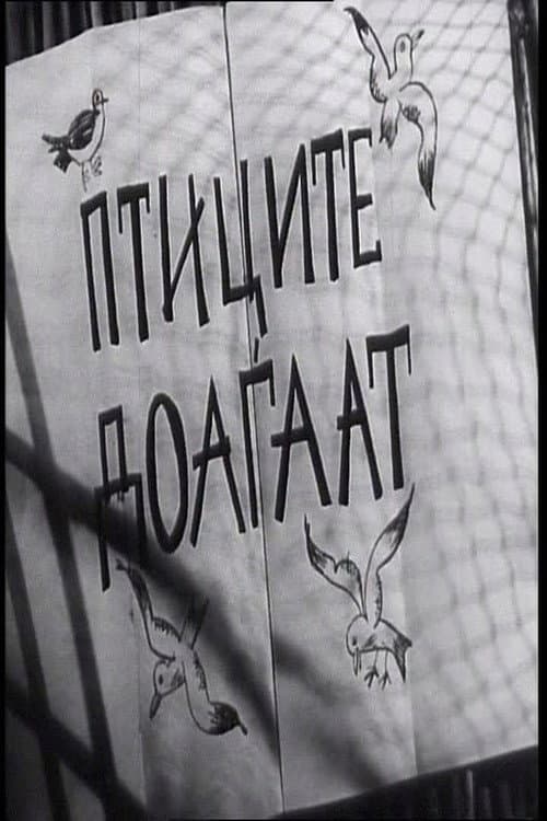 Poster for The Birds Are Coming