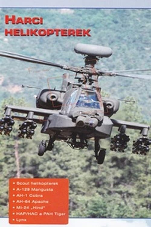 Poster for Combat in the Air - Attack Helikopters