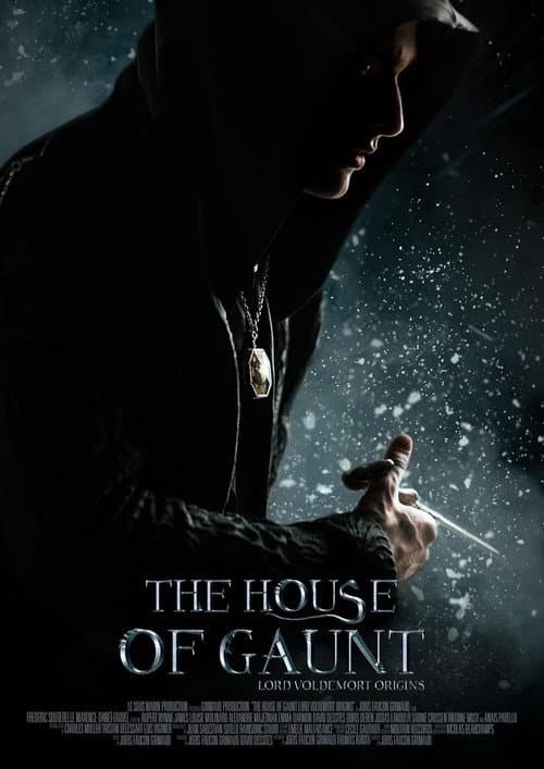 Poster for The House of Gaunt