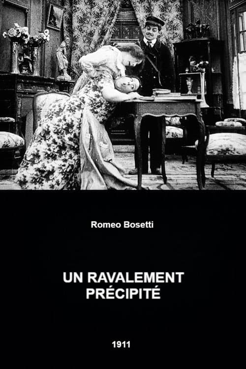 Poster for A Hasty Renovation