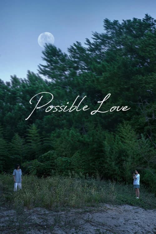 Poster for Possible Love