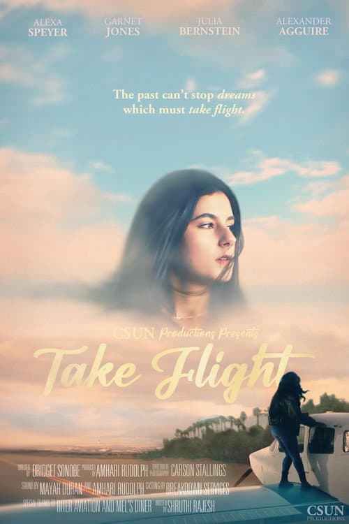 Poster for Take Flight