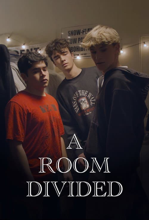 Poster for A Room Divided