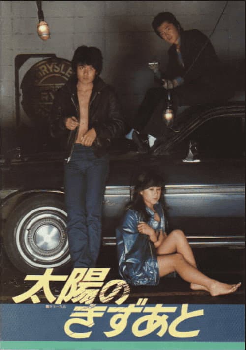 Poster for Scars of the Sun