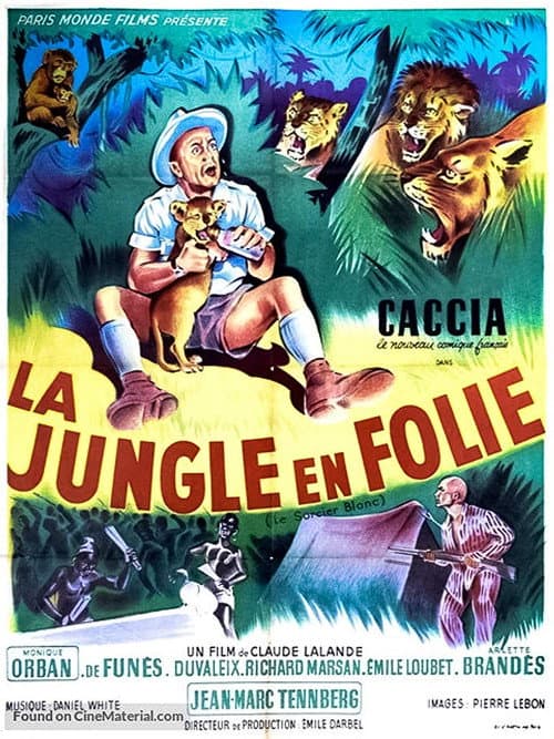 Poster for The Crazy Jungle