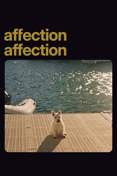 Poster for Affection Affection