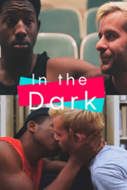 Poster for In the Dark