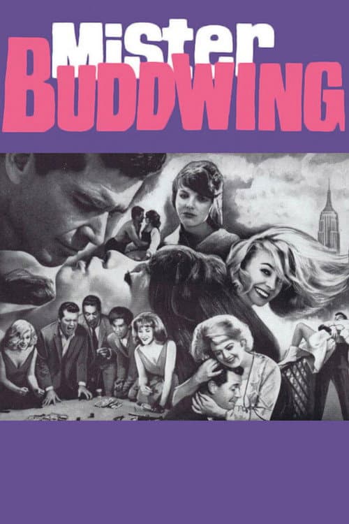 Poster for Mister Buddwing