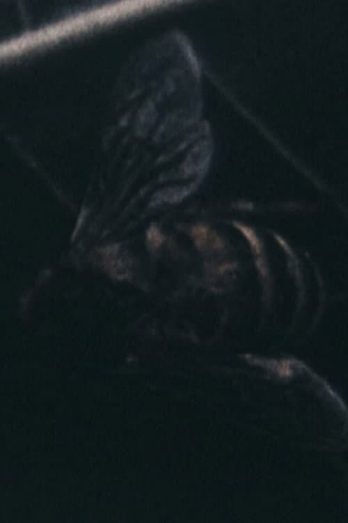 Poster for Morte all'orecchio di Van Gogh