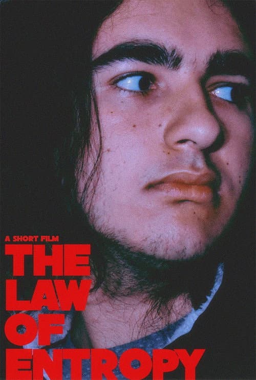 Poster for The Law of Entropy