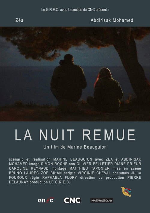 Poster for Night Moves