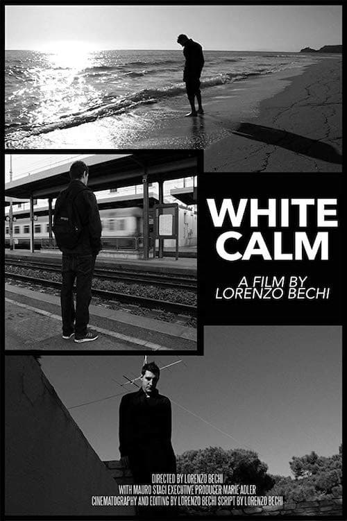 Poster for White Calm