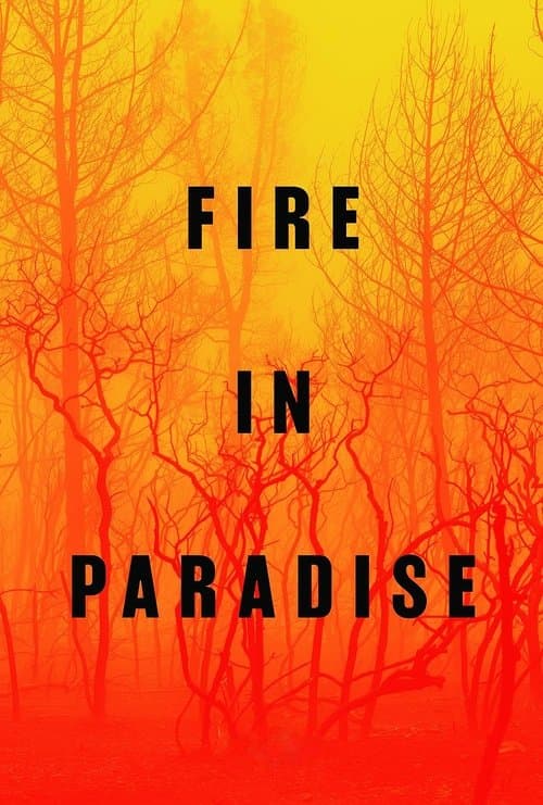 Poster for Fire in Paradise
