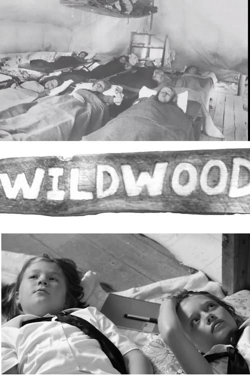 Poster for Wildwood