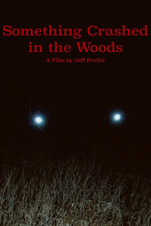 Poster for Something Crashed in the Woods