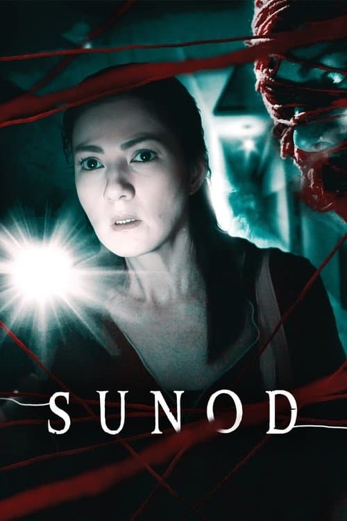 Poster for Follow