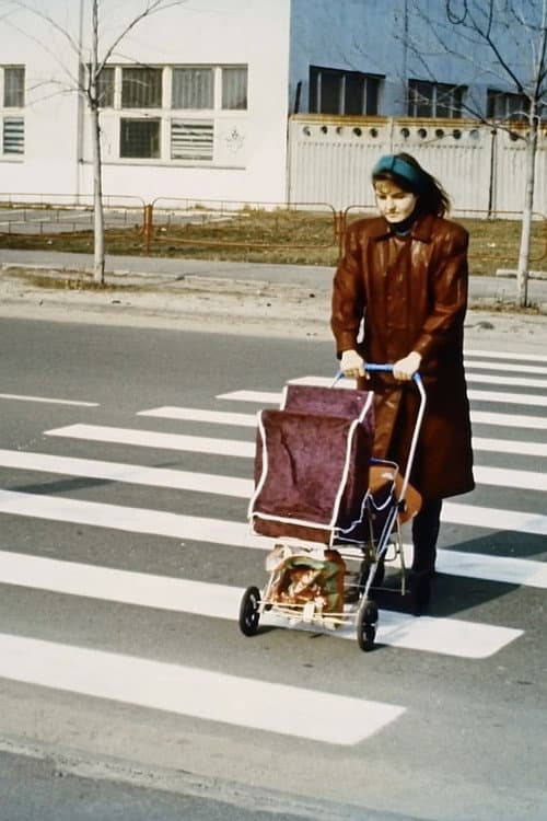 Poster for Pedestrian Crossing