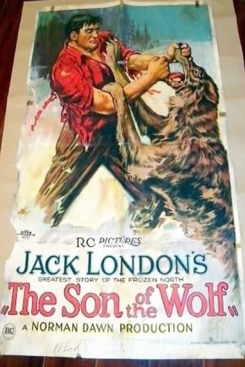 Poster for The Son of the Wolf