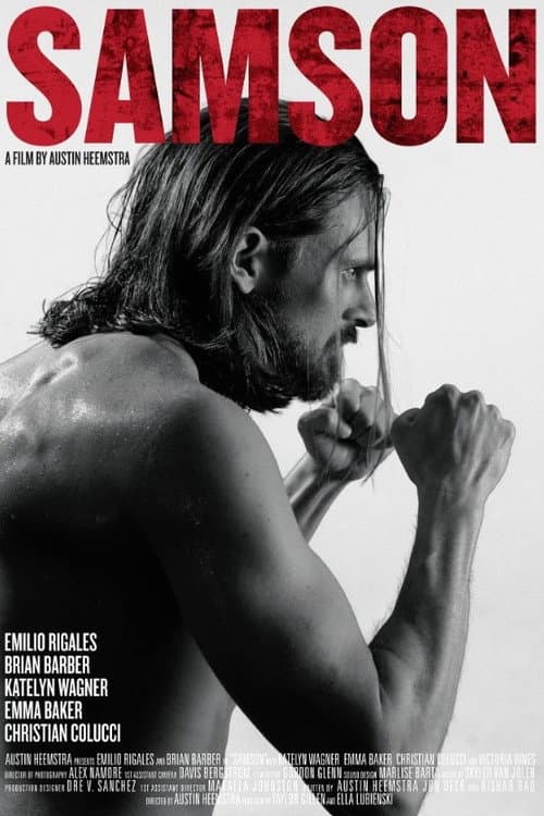 Poster for Samson