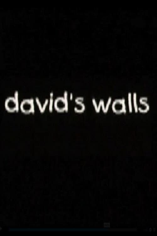 Poster for David's Walls