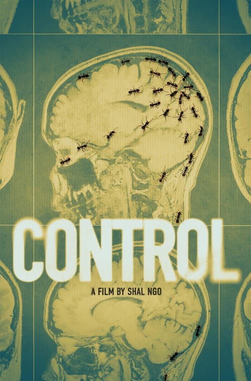 Poster for Control