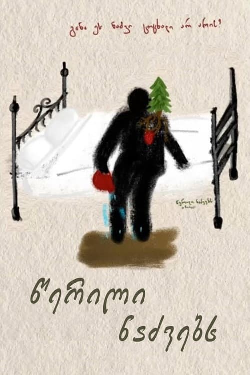 Poster for A Letter to Fir Trees