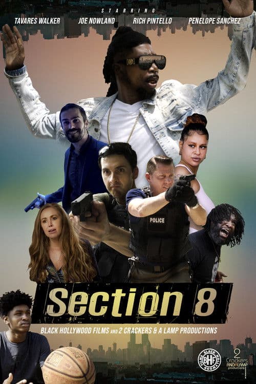 Poster for Section 8