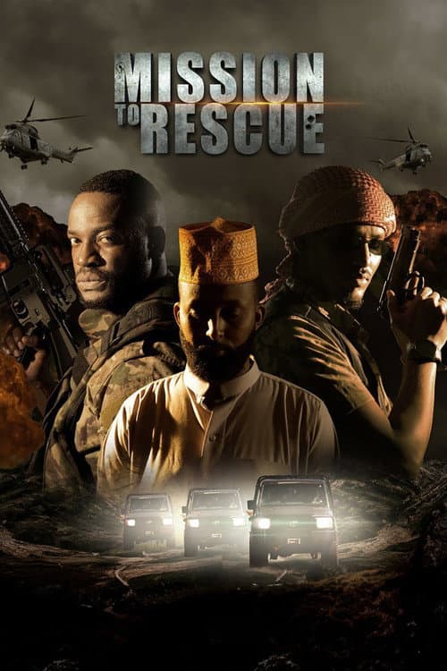 Poster for Mission to Rescue
