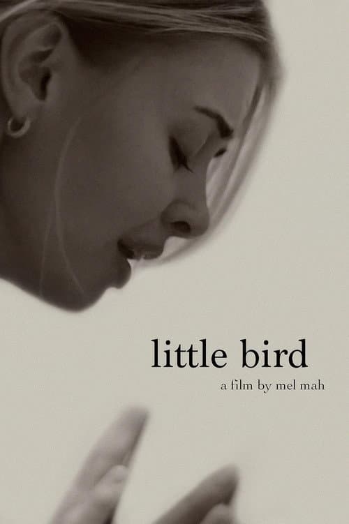 Poster for Little Bird