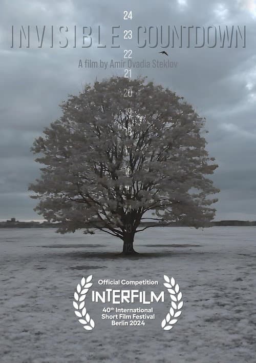 Poster for Invisible Countdown
