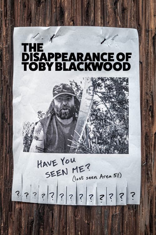 Постер до фільму «The Disappearance of Toby Blackwood»