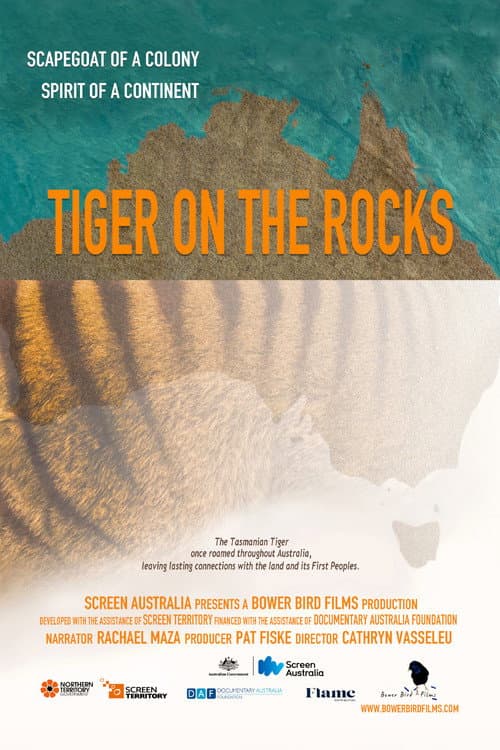 Poster for Tiger on the Rocks